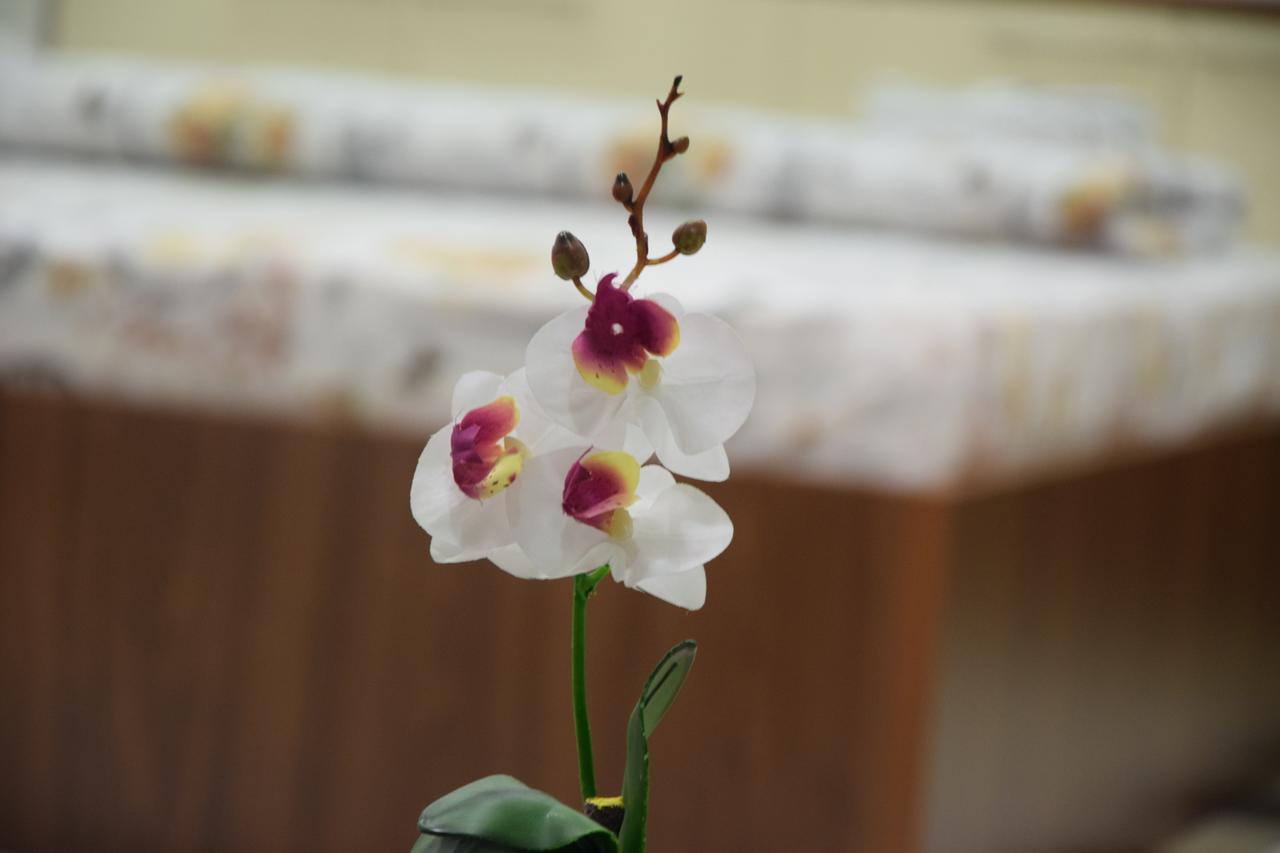 Guest House Agropapuk Sid Bagian luar foto